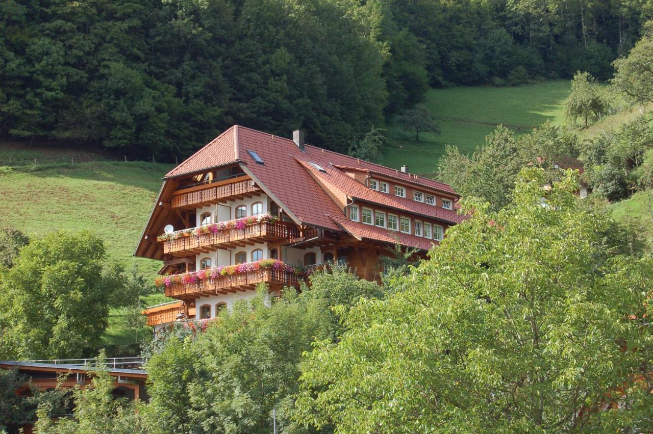 Апарт отель Ehrenmaettlehof Faisst Бад-Петерсталь-Грисбах Экстерьер фото