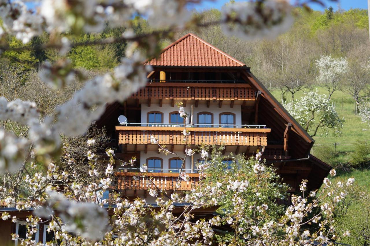 Апарт отель Ehrenmaettlehof Faisst Бад-Петерсталь-Грисбах Экстерьер фото
