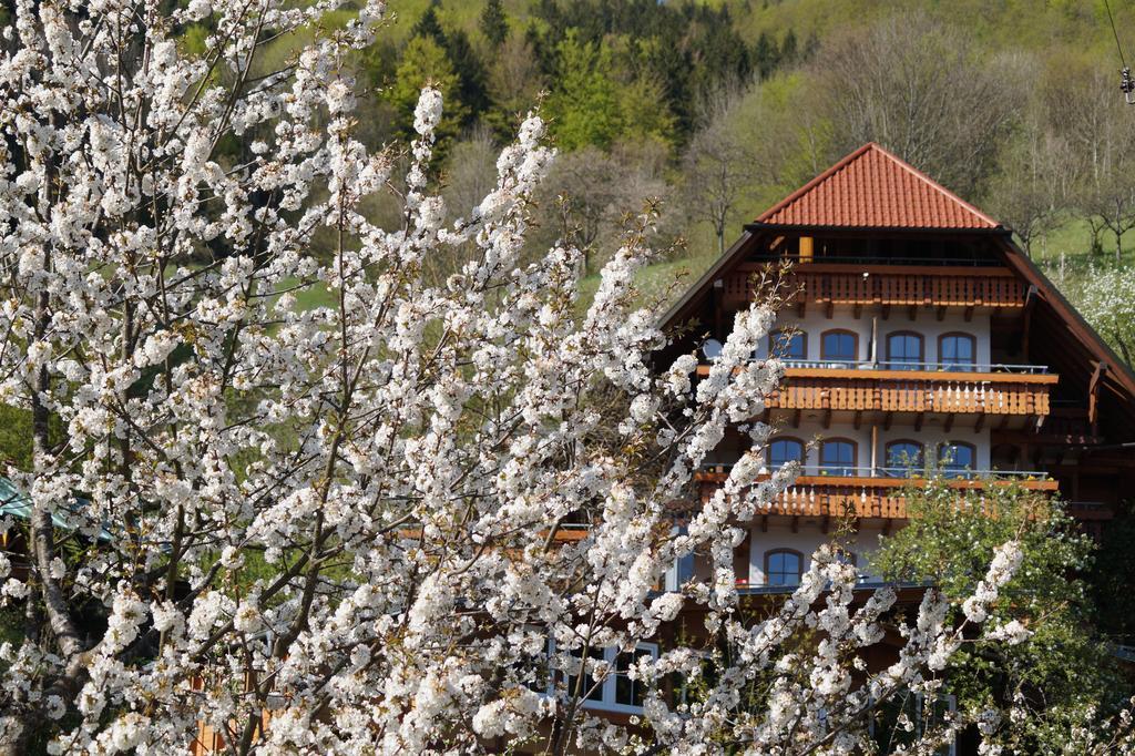 Апарт отель Ehrenmaettlehof Faisst Бад-Петерсталь-Грисбах Номер фото