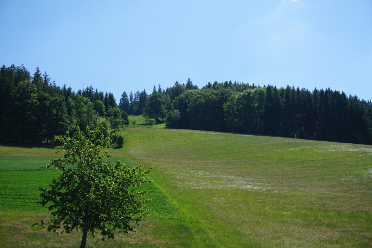 Апарт отель Ehrenmattlehof Faisst Бад-Петерсталь-Грисбах Экстерьер фото