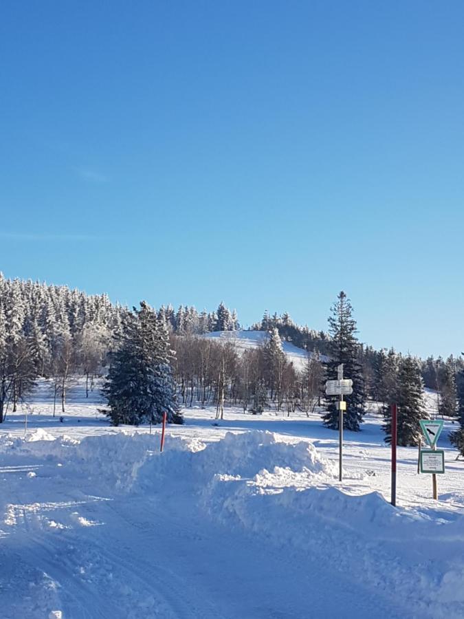 Апарт отель Ehrenmaettlehof Faisst Бад-Петерсталь-Грисбах Экстерьер фото
