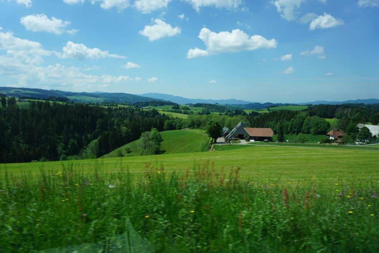 Апарт отель Ehrenmaettlehof Faisst Бад-Петерсталь-Грисбах Экстерьер фото