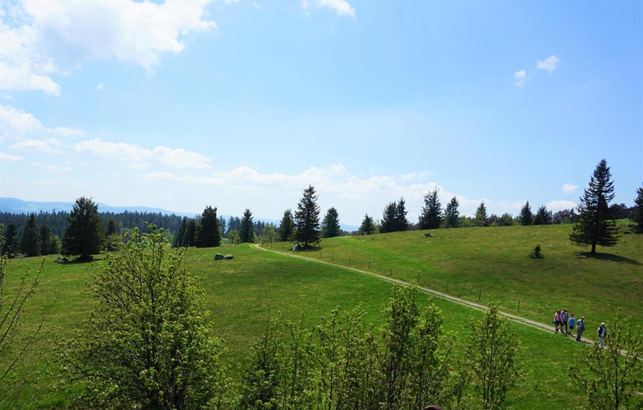 Апарт отель Ehrenmaettlehof Faisst Бад-Петерсталь-Грисбах Экстерьер фото