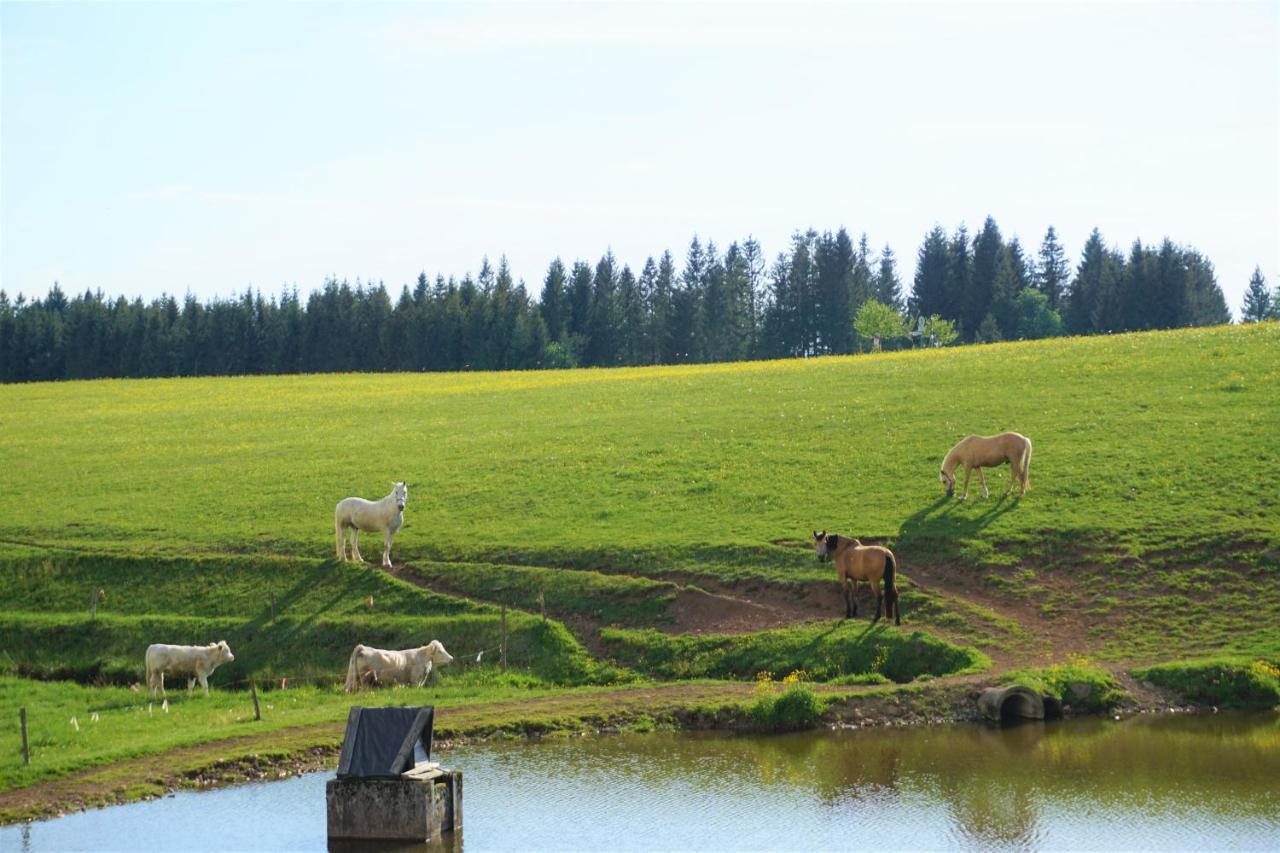 Апарт отель Ehrenmaettlehof Faisst Бад-Петерсталь-Грисбах Экстерьер фото