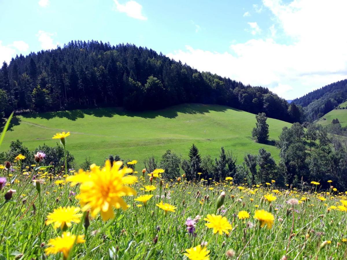 Апарт отель Ehrenmattlehof Faisst Бад-Петерсталь-Грисбах Экстерьер фото