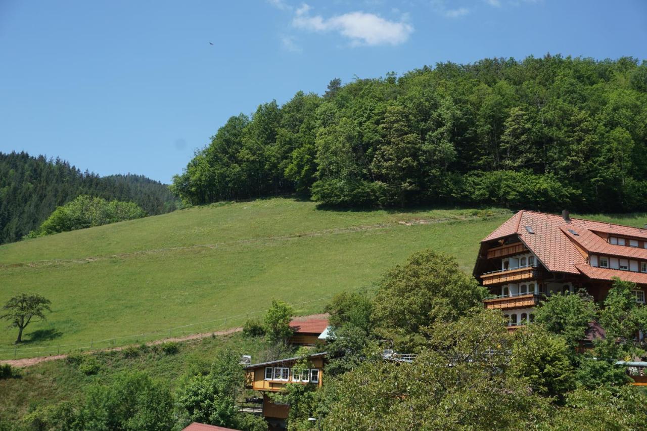 Апарт отель Ehrenmaettlehof Faisst Бад-Петерсталь-Грисбах Экстерьер фото